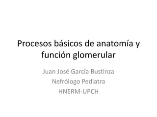 Procesos básicos de anatomía y
función glomerular
Juan José García Bustinza
Nefrólogo Pediatra
HNERM-UPCH
 