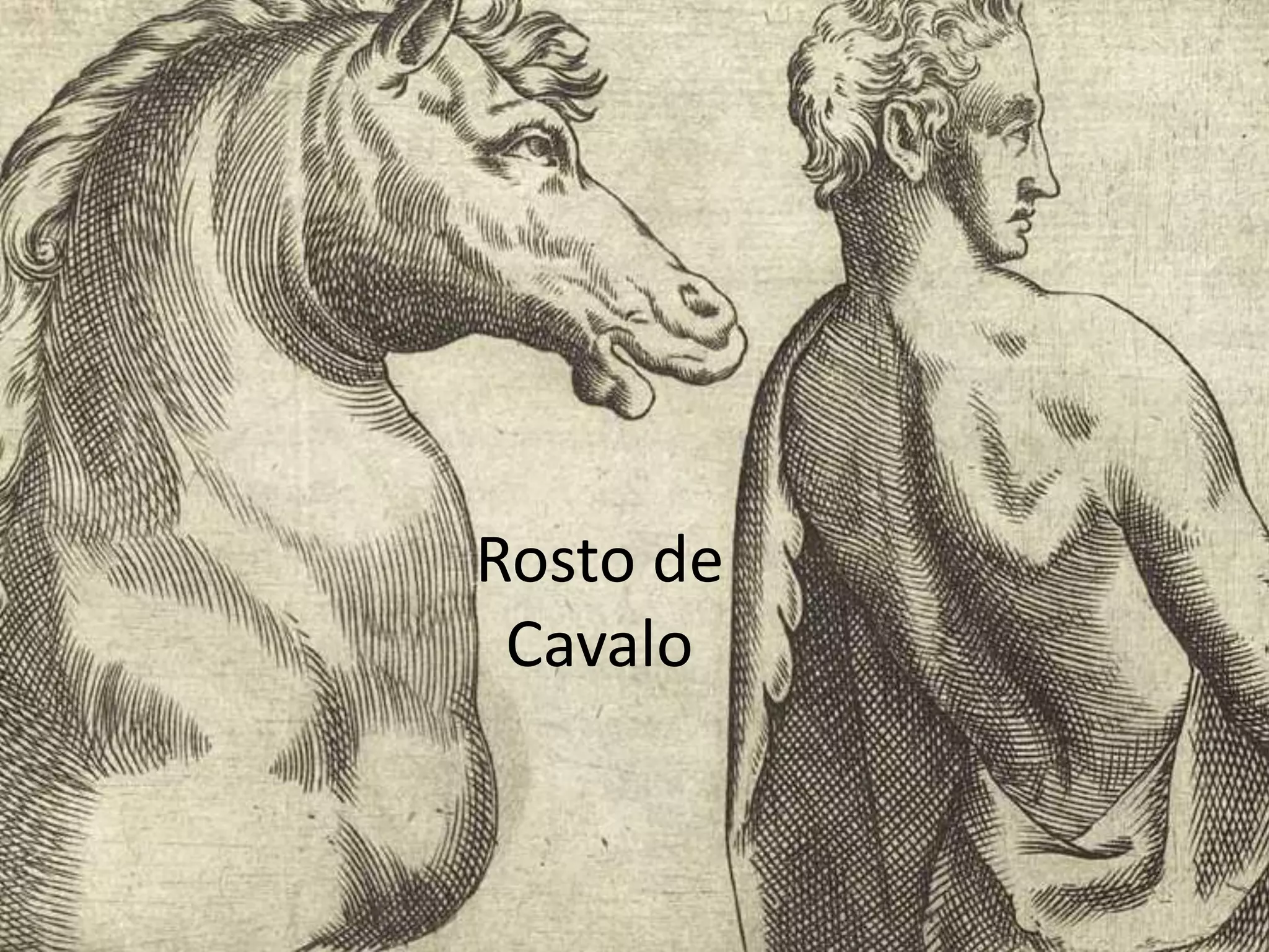 Rosto de
 Cavalo
 