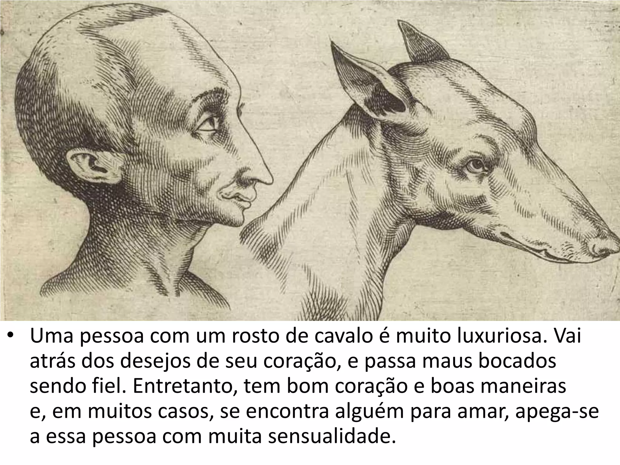 • Uma pessoa com um rosto de cavalo é muito luxuriosa. Vai
  atrás dos desejos de seu coração, e passa maus bocados
  sendo fiel. Entretanto, tem bom coração e boas maneiras
  e, em muitos casos, se encontra alguém para amar, apega-se
  a essa pessoa com muita sensualidade.
 