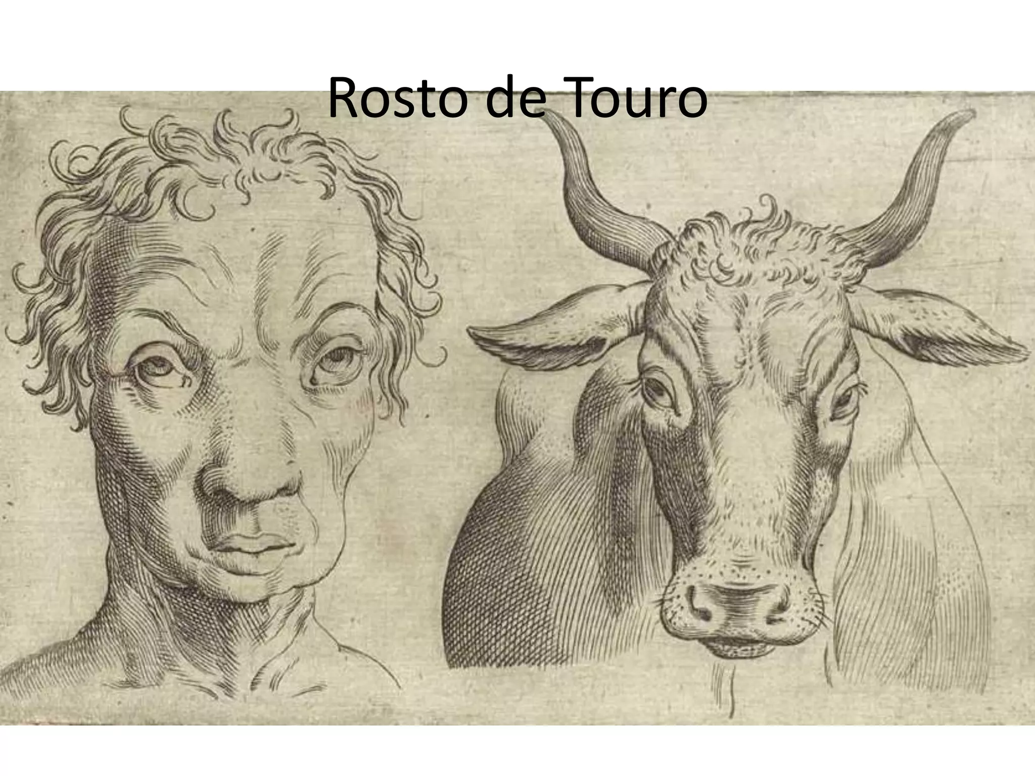Rosto de Touro
 