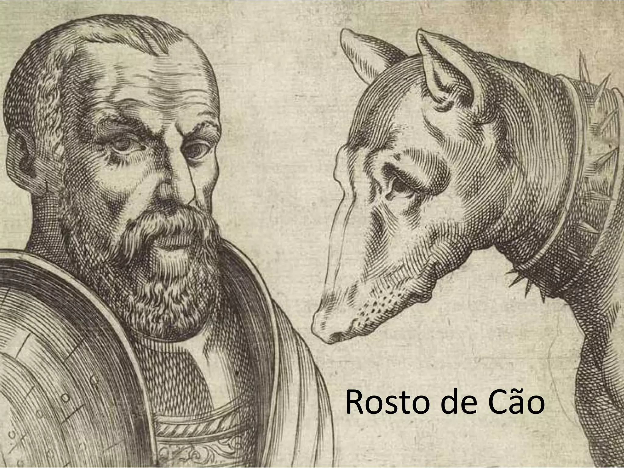 Rosto de Cão
 
