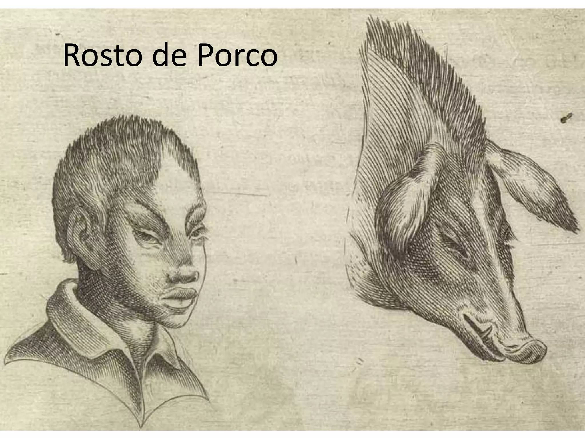 Rosto de Porco
 