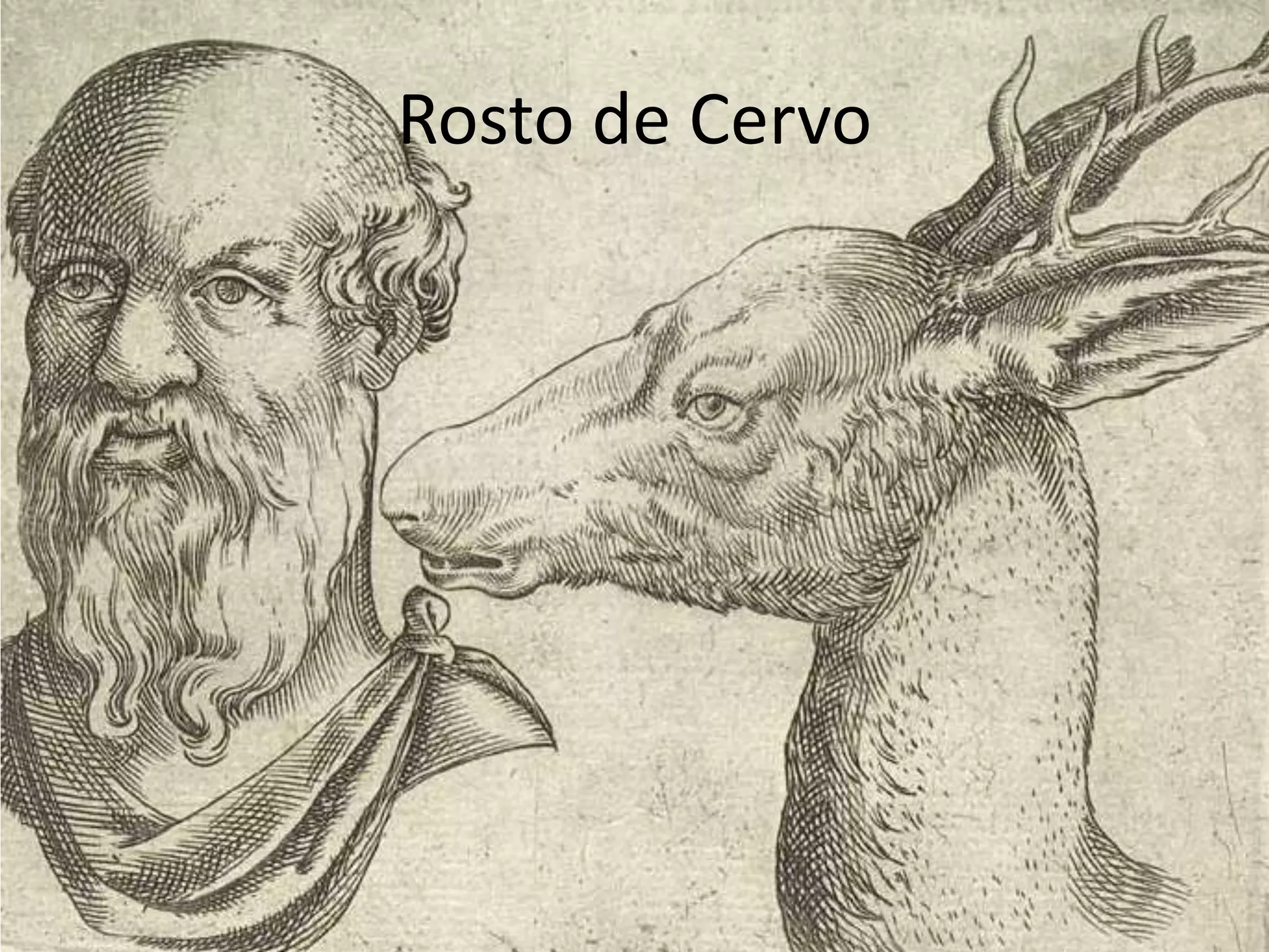Rosto de Cervo
 