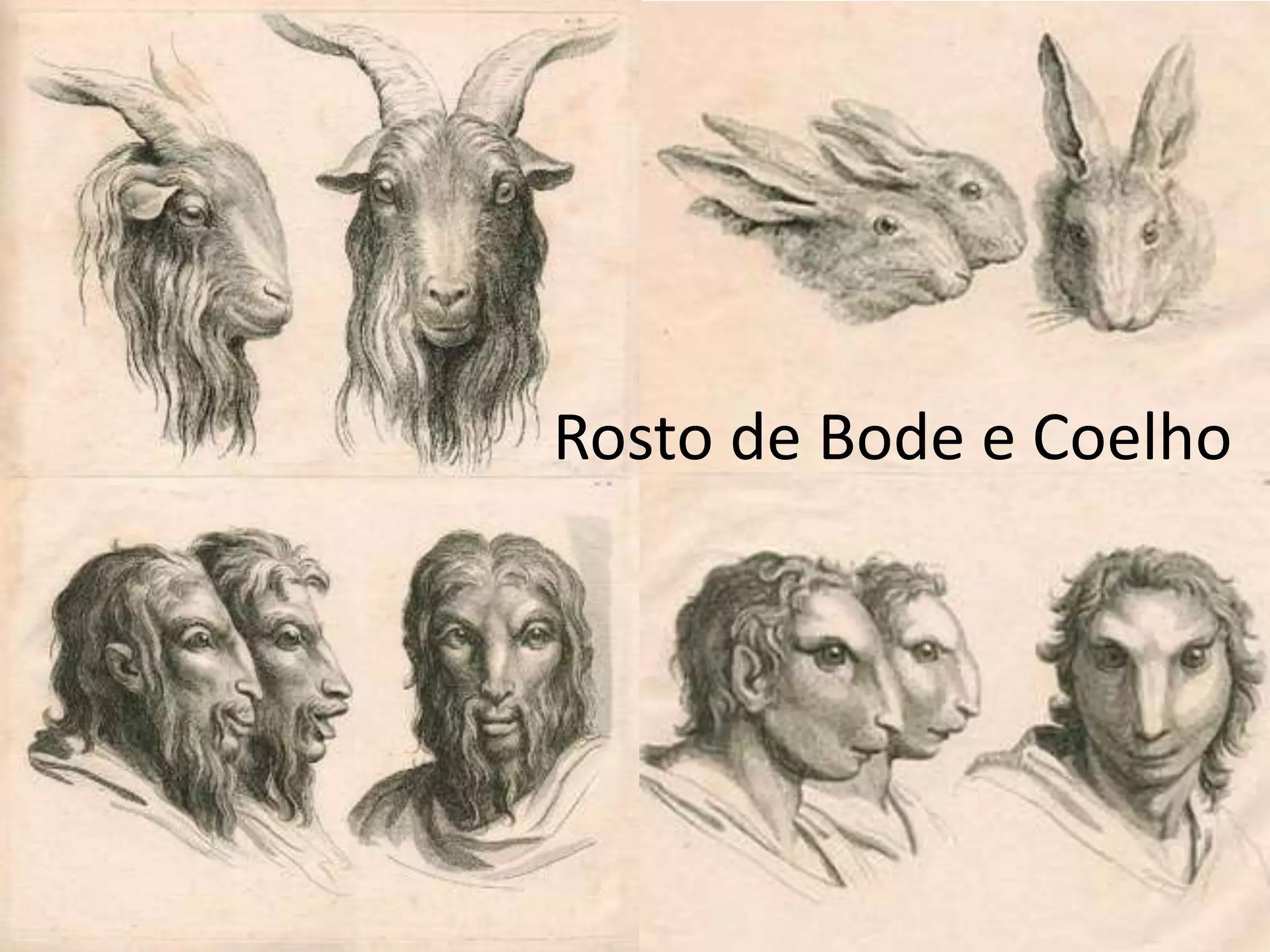 Rosto de Bode e Coelho
 