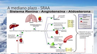 A mediano plazo - SRAA
