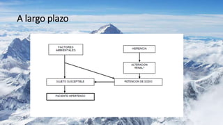 A largo plazo