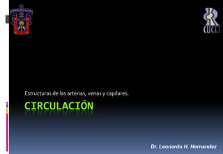 Circulación Estructuras de las arterias, venas y capilares. Dr. Leonardo H. Hernandez 
