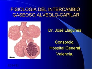 FISIOLOGIA DEL INTERCAMBIO
   GASEOSO ALVEOLO-CAPILAR


                Dr. José Llagunes

                  Consorcio
                Hospital General
                   Valencia.

02/14/13                 1
 