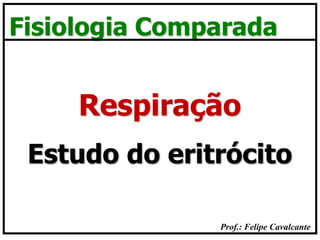 Prof.: Felipe Cavalcante
Fisiologia Comparada
Estudo do eritrócito
Respiração
 