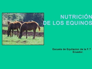 NUTRICIÓN
DE LOS EQUINOS

Escuela de Equitacion de la F.T
Ecuador.

 