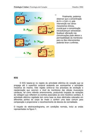 Fisiologia Celular: Fisiologia do Coração                                           Outubro 2004


  Fig 5. Trocas iónicas durante o potencial de acção em células
  autorítmicas                                                           Finalmente, podemos
                                                                  observar que a concentração
                                                                  de K+ e Ca2+ é, pela
                                                                  intervenção nos vários
                                                                  mecanismos iónicos,
                                                                  crucial,quer a concentração
                                                                  intracelularquer extracelular.
                                                                  Qualquer alteração nas
                                                                  concentrações pode alterar a
                                                                  permeabilidade da membrana
                                                                  para os iões intervenientes
                                                                  podendo levar a arítmias.




ECG

       O ECG baseia-se no registo da actividade eléctrica do coração que se
propaga até à superfície corporal acabando por acompanhar a actividade
mecânica do mesmo. Este registo centra-se nos processos de excitação e
repolarização que ocorrem a nível da membrana das células musculares
cardíacas, tal como referido anteriormente, produzindo traçados de variações
de voltagem que reflectem os eventos associados ao ciclo mecânico cardíaco. A
actividade eléctrica registada tem como base os doze eléctrodos colocados em
diferentes pontos do corpo de modo a conferir uma base comum para
comparação e proporcionar o reconhecimento de desvios da normalidade.

O traçado do electrocardiograma, em condições normais, inclui as ondas
representadas na figura Y.




                                                                                             12
 