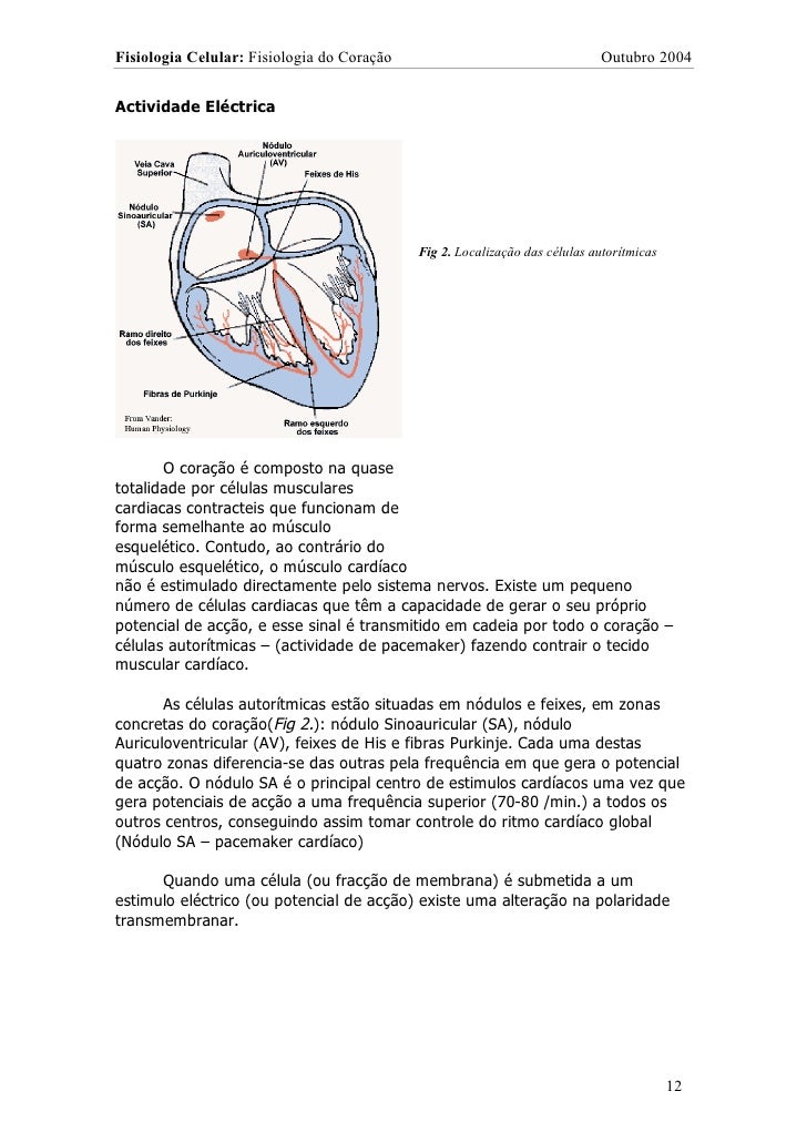 Fisiologia viral Fisiologia viral