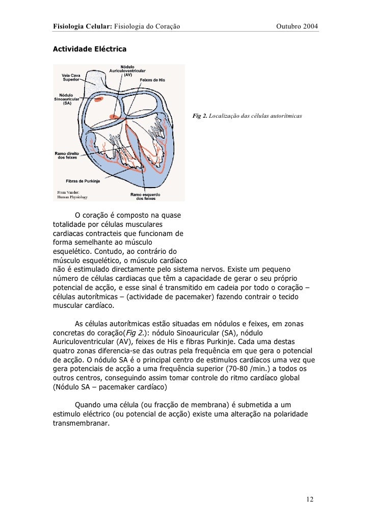 Fisiologia viral