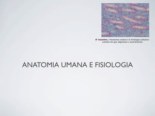 8° incontro. L’Anatomia umana e la Fisiologia cellulare:
                       scambio dei gas; digestione e assorbimento




ANATOMIA UMANA E FISIOLOGIA
 