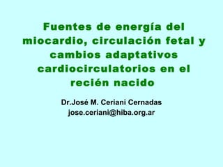 Fuentes de energía del miocardio, circulación fetal y cambios adaptativos cardiocirculatorios en el recién nacido   Dr.José M. Ceriani Cernadas [email_address] 