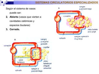 Según el sistema de vasos puede ser : A bierto  (vasos que vierten a cavidades celómicas y espacios tisulares) C errado. SISTEMAS CIRCULATORIOS ESPECIALIZADOS 