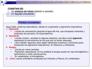 CONSTAN DE: U n  sistema de tubos  (abierto o cerrado) U n  líquido circulante A gua sales, proteínas plasmáticas, células en suspensión y pigmentos respiratorios . 1.   Hidrolinfa : Líquido de composición parecida al agua del mar, que transporta nutrientes y productos de excreción. En Equinodermos  2.   Hemolinfa :  Líquido incoloro –azulado en algunas especies- que lleva como  pigmento  respiratorio la hemocianina (en los que  que no tienen tráqueas).   Lleva células: fagocitos (para digerir elementos extraños) y hemocitos (para transportar los pigmentos respiratorios). En  Moluscos y artrópodos. 3.   Sangre :  Circula por vasos cerrados Pigmentos respiratorios: En los anélidos la sangre puede ser roja (hemoglobina o hemeritrina) o verde (clorocruorina).  En vertebrados, la hemoglobina.  Linfa : Líquido amarillento compuesto por linfocitos  y Plasma. En vertebrados. SISTEMAS ESPECIALIZADOS:APARATOS CIRCULATORIOS Fluidos circulantes  