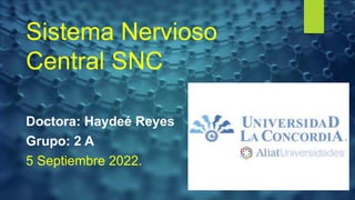 Sistema Nervioso
Central SNC
Doctora: Haydeé Reyes
Grupo: 2 A
5 Septiembre 2022.
 