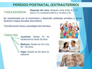 ADOLESCENCIA
ADULTEZ
PERÍODO POSTNATAL (EXTRAUTERINO)
Depende del sexo: Mujeres inicia entre 8 y 13
años (11), hombres entre 9 y 14 años (13).
Se caracterizada por el crecimiento y desarrollo acelerado somático y sexual.
Aparecen rasgos sexuales secundarios.
Transformación física y psicológica del individuo.
Juventud: Desde fin de
adolescencia hasta 30 años
Madurez: Desde los 30 a los
50 – 60 años.
Vejez: Desde los 60 años en
adelante
 