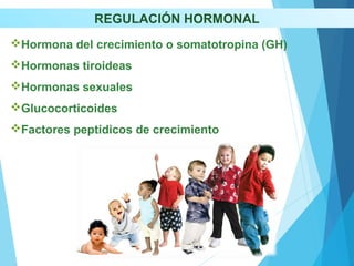 REGULACIÓN HORMONAL
Hormona del crecimiento o somatotropina (GH)
Hormonas tiroideas
Hormonas sexuales
Glucocorticoides
Factores peptídicos de crecimiento
 