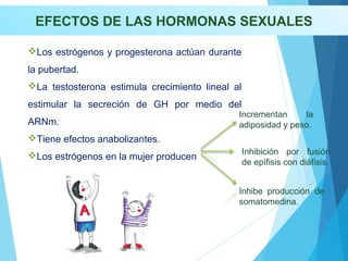 EFECTOS DE LAS HORMONAS SEXUALES
Los estrógenos y progesterona actúan durante
la pubertad.
La testosterona estimula crecimiento lineal al
estimular la secreción de GH por medio del
ARNm.
Tiene efectos anabolizantes.
Los estrógenos en la mujer producen
Incrementan la
adiposidad y peso.
Inhibición por fusión
de epífisis con diáfisis.
Inhibe producción de
somatomedina.
 