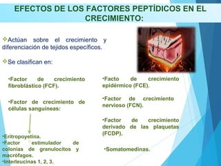 EFECTOS DE LOS FACTORES PEPTÍDICOS EN EL
CRECIMIENTO:
Actúan sobre el crecimiento y
diferenciación de tejidos específicos.
Se clasifican en:
•Factor de crecimiento
fibroblástico (FCF).
•Facto de crecimiento
epidérmico (FCE).
•Factor de crecimiento
nervioso (FCN).
•Somatomedinas.
•Factor de crecimiento de
células sanguíneas:
•Factor de crecimiento
derivado de las plaquetas
(FCDP).
•Eritropoyetina.
•Factor estimulador de
colonias de granulocitos y
macrófagos.
•Interleucinas 1, 2, 3.
 