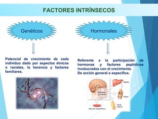 FACTORES INTRÍNSECOS
Potencial de crecimiento de cada
individuo dado por aspectos étnicos
o raciales, la herencia y factores
familiares.
Referente a la participación de
hormonas y factores peptídicos
involucrados con el crecimiento.
De acción general o específica.
Genéticos Hormonales
 