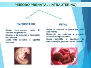 PERÍODO PRENATAL (INTRAUTERINO)
EMBRIONARIO FETAL
Desde fecundación hasta 8ª
semana de gestación.
Aparición de órganos y formación
de sistemas
Etapa más sensible a agentes
externos.
Desde 8ª semana de gestación hasta
nacimiento
Desarrollo de sistemas y aumento
acelerado de peso y talla.
Etapa sensible a aparición de
enfermedades, pero en menor medida.
 