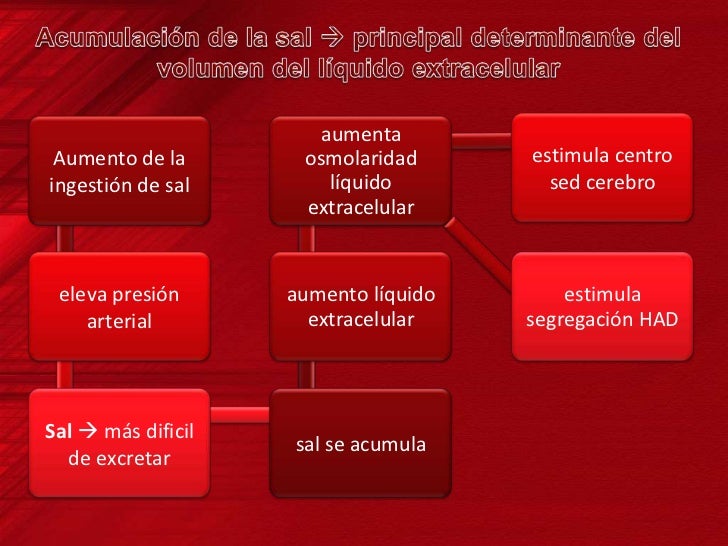 niveles de presión arterial normal opciones