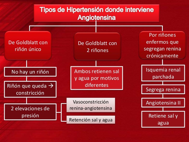 Resultado de imagen para Hipertensión causada por riñones enfermos que segregan renina crónicamente.