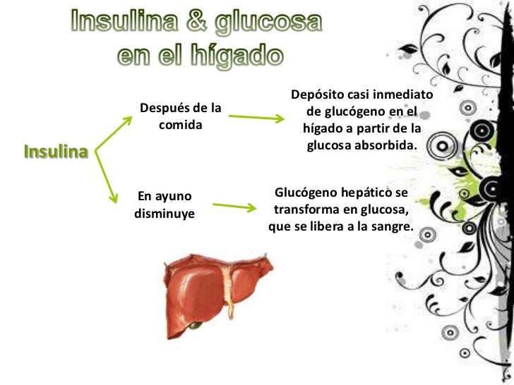Fisiologia Insulina, Glucagon Y Diabetes Fisiologia Insulina, Glucagon Y Diabetes