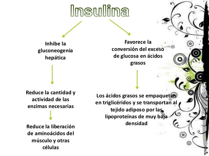 Fisiologia Insulina, Glucagon Y Diabetes Fisiologia Insulina, Glucagon Y Diabetes