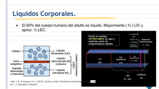 Líquidos Corporales.
● El 60% del cuerpo humano del adulto es líquido. Mayormente ( ⅔ ) LIC y
aprox. ⅓ LEC.
Hall, J. E., & Guyton, A. C. (2016). Guyton y Hall: Compendio de fisiología médica (13a
ed. --.). Barcelona: Elsevier.
 