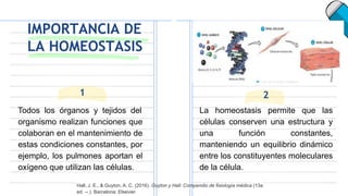 IMPORTANCIA DE
LA HOMEOSTASIS
1
Todos los órganos y tejidos del
organismo realizan funciones que
colaboran en el mantenimiento de
estas condiciones constantes, por
ejemplo, los pulmones aportan el
oxígeno que utilizan las células.
2
La homeostasis permite que las
células conserven una estructura y
una función constantes,
manteniendo un equilibrio dinámico
entre los constituyentes moleculares
de la célula.
Hall, J. E., & Guyton, A. C. (2016). Guyton y Hall: Compendio de fisiología médica (13a
ed. --.). Barcelona: Elsevier.
 