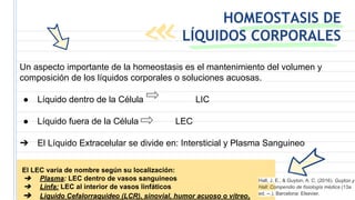 HOMEOSTASIS DE
LÍQUIDOS CORPORALES
Un aspecto importante de la homeostasis es el mantenimiento del volumen y
composición de los líquidos corporales o soluciones acuosas.
● Líquido dentro de la Célula LIC
● Líquido fuera de la Célula LEC
➔ El Líquido Extracelular se divide en: Intersticial y Plasma Sanguineo
El LEC varía de nombre según su localización:
➔ Plasma: LEC dentro de vasos sanguineos
➔ Linfa: LEC al interior de vasos linfáticos
➔ Liquido Cefalorraquideo (LCR), sinovial, humor acuoso o vítreo.
Hall, J. E., & Guyton, A. C. (2016). Guyton y
Hall: Compendio de fisiología médica (13a
ed. --.). Barcelona: Elsevier.
 