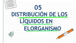 DISTRIBUCIÓN DE LOS
LÍQUIDOS EN
ELORGANISMO
05
 
