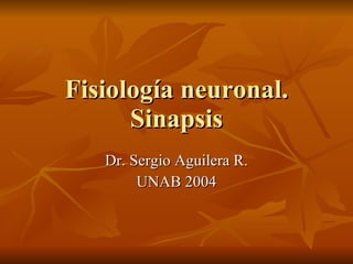 Fisiología neuronal. Sinapsis Dr. Sergio Aguilera R. UNAB 2004 