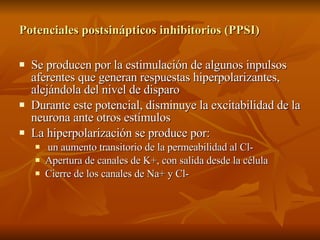 Potenciales postsinápticos inhibitorios (PPSI) <ul><li>Se producen por la estimulación de algunos inpulsos aferentes que g...