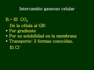 Intercambio gaseoso celular <ul><li>B.- El  CO 2   </li></ul><ul><li>De la célula al GR:  </li></ul><ul><li>Por gradiente ...