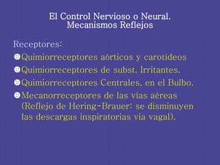 El Control Nervioso o Neural. Mecanismos Reflejos <ul><li>Receptores:  </li></ul><ul><li>Quimiorreceptores aórticos y caro...