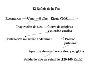 El Reflejo de la Tos <ul><li>Receptores  Vago  Bulbo  Efecto (TOS)  </li></ul><ul><li>Inspiración de aire  Cierre de epigl...