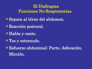 El Diafragma Funciones No-Respiratorias.  <ul><li>Separa al tórax del abdomen.  </li></ul><ul><li>Reacción postural. </li>...