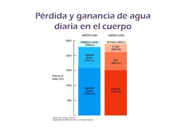 Cashkumar forex