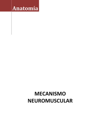 Anatomía




      MECANISMO
    NEUROMUSCULAR
 