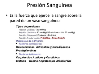 Presión Sanguínea
• Es la fuerza que ejerce la sangre sobre la
pared de un vaso sanguíneo
 