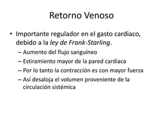 Retorno Venoso
• Importante regulador en el gasto cardiaco,
debido a la ley de Frank-Starling.
– Aumento del flujo sanguíneo
– Estiramiento mayor de la pared cardiaca
– Por lo tanto la contracción es con mayor fuerza
– Así desaloja el volumen proveniente de la
circulación sistémica
 