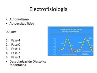 Electrofisiología
• Automatismo
• Autoexcitabilidad
-55 mV
1. Fase 4
2. Fase 0
3. Fase 1
4. Fase 2
5. Fase 3
• Despolarización Diastólica
Espontanea
 