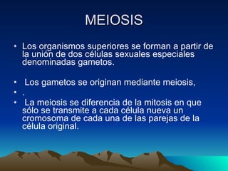 MEIOSIS Los organismos superiores se forman a partir de la unión de dos células sexuales especiales denominadas gametos. Los gametos se originan mediante meiosis, . La meiosis se diferencia de la mitosis en que sólo se transmite a cada célula nueva un cromosoma de cada una de las parejas de la célula original.  