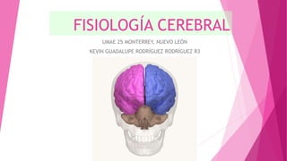 FISIOLOGÍA CEREBRAL
UMAE 25 MONTERREY, NUEVO LEÓN
KEVIN GUADALUPE RODRÍGUEZ RODRÍGUEZ R3
 