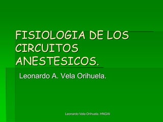 FISIOLOGIA DE LOS
CIRCUITOS
ANESTESICOS.
Leonardo A. Vela Orihuela.




             Leonardo Vela Orihuela. HNGAI
 